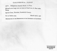 Image Associated With the Occurence